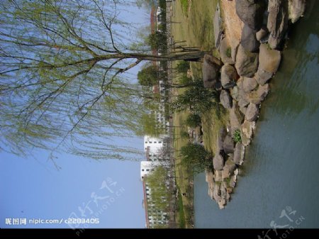 柳湖图片