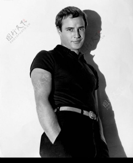 怀旧相片明星Brando图片
