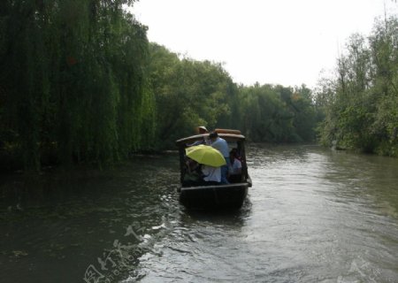 溱湖湿地图片