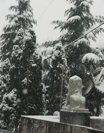 唐家河雪景图片