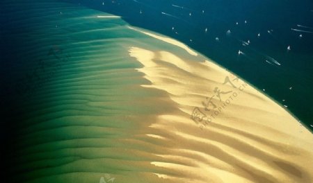 阿尔甘沙洲自然保护区图片