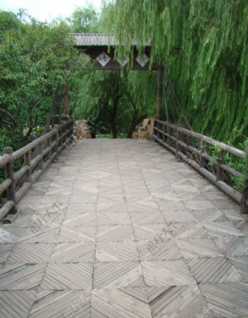 竹桥图片