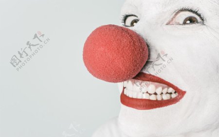 红鼻子小丑图片