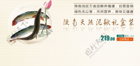 泥鳅banner广告图片