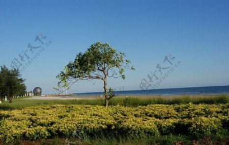 北海银滩海滩蓝天图片