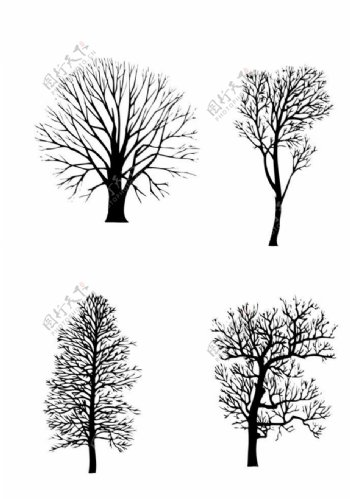 树矢量图片