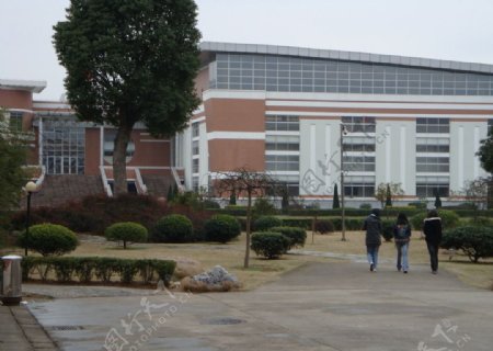 路桥中学体育馆远景图片