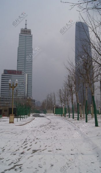 雪后天津塔图片