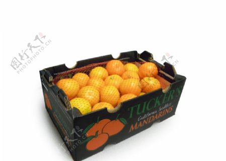 加州树上熟蜜橘盒装图片