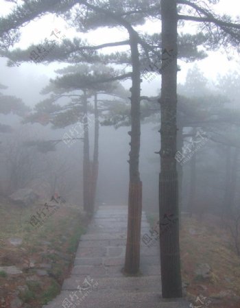 雾中黄山道图片