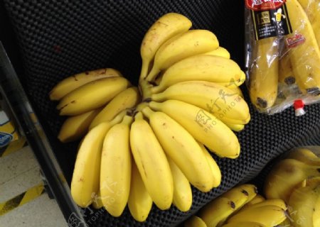 皇帝蕉香蕉图片