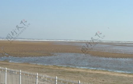 秦皇岛北戴河湿地保护区图片