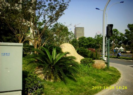 2009道路绿化银奖钱江路图片