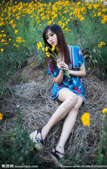 野菊花丛中的美女图片