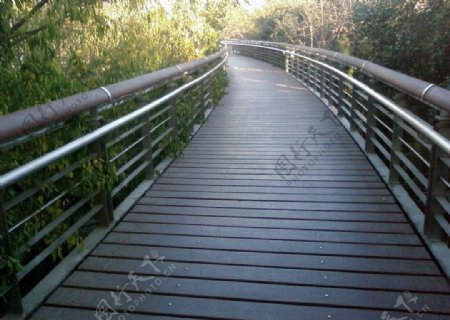晨曦中的木桥图片