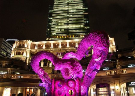 香港情人节2010图片