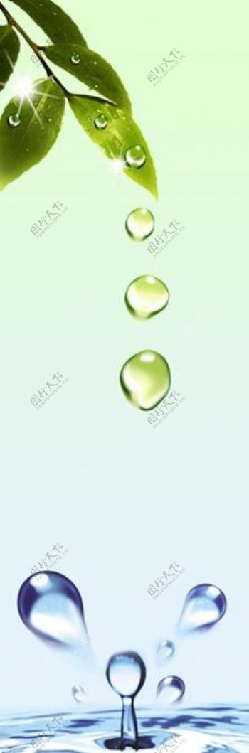 绿叶水珠图图片