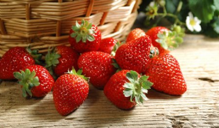 草莓高清大图图片