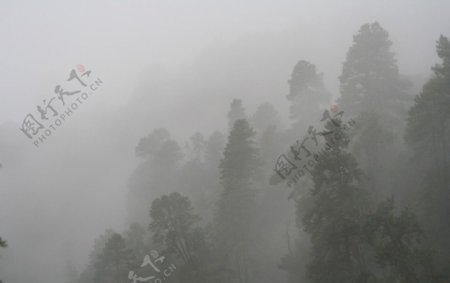 云雾中的山图片