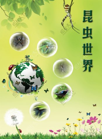 昆虫世界封面海报图片
