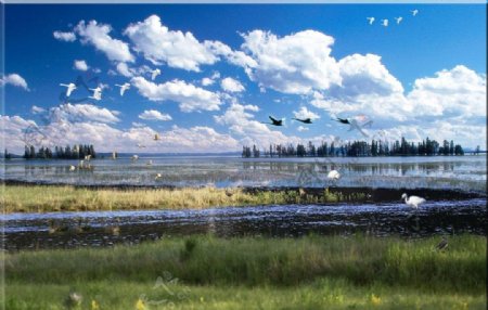 骆马湖湿地公园图片