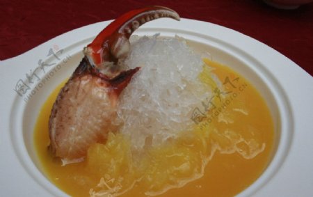 金汤蟹肉烩官燕图片
