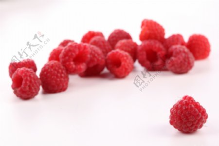 树莓图片