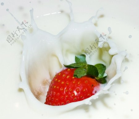 红草莓牛奶图片