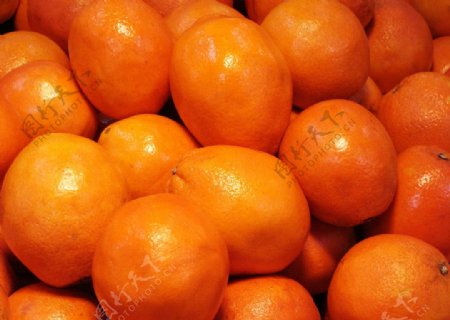 江西腊橙图片