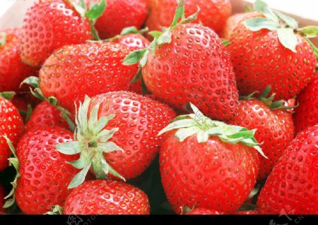 超清晰的水果草莓图片
