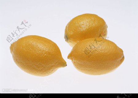 柠檬2图片