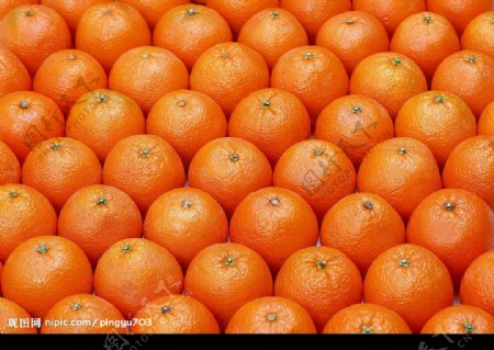 橙子排列图片