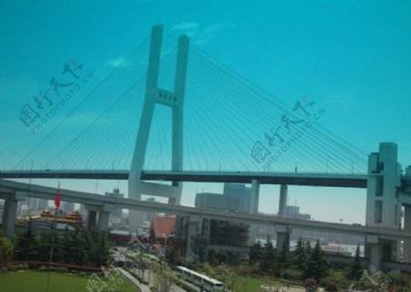 杨浦大桥图片