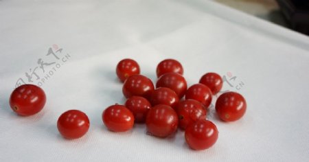 西红柿圣女果新鲜图片