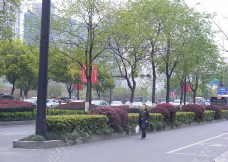 杭州的马路图片