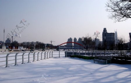 雪后的海河公园图片