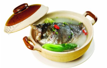 砂锅鱼头图片