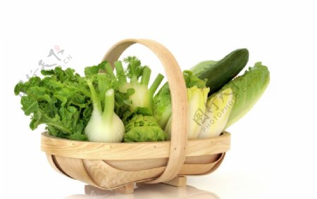 蔬菜背景白菜生菜大蒜竹篮图片