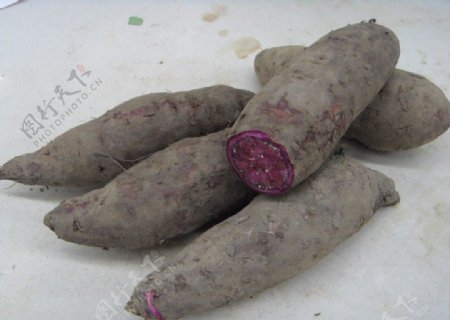 紫心红薯图片