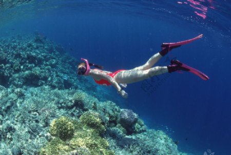 海底世界海底潜水员图片