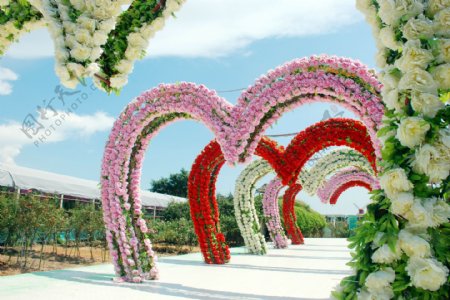 广州番禺百万葵园婚纱照拍摄的好背景图片