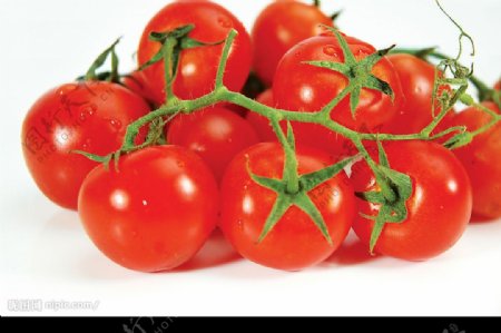 新鮮的蕃茄图片