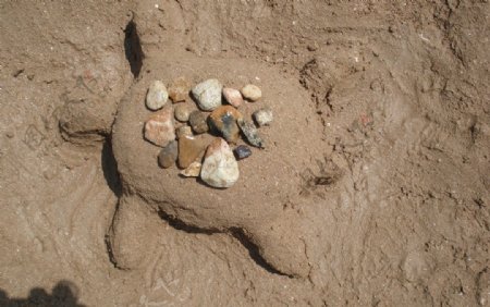 沙滩上的乌龟图片