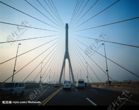 杨浦大桥图片
