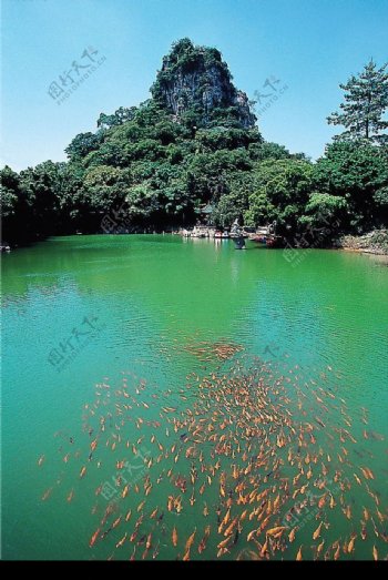 广西柳州鱼峰山图片