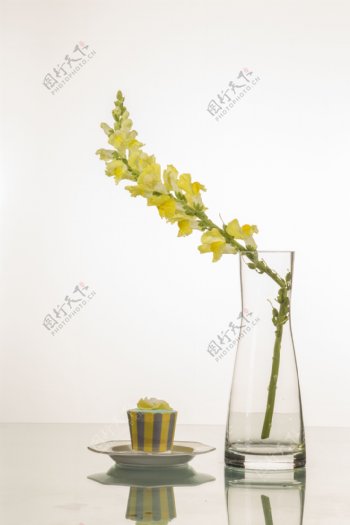 花卉植物图片