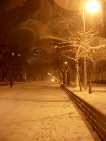 乌市的夜雪图片