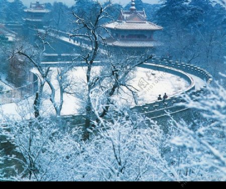 雪景图片