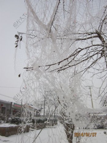 雪景图片