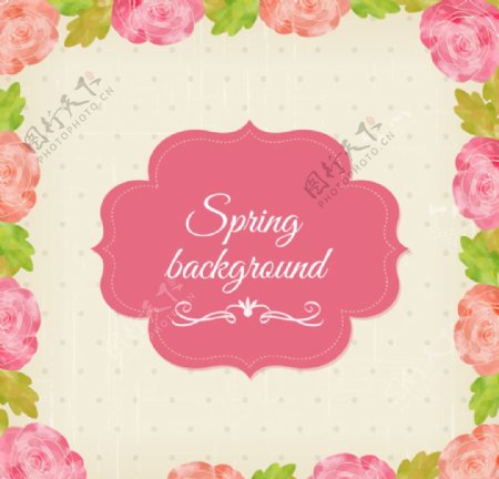 春季粉色花卉标签背景图片
